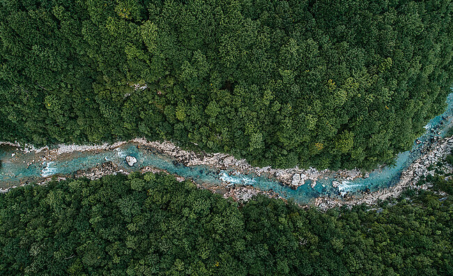 Ein Fluss durchzieht ein Waldgebiet